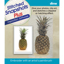 Stitched Snapshots Plus