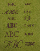 Machine Embroidery in 6 Easy Lessons™