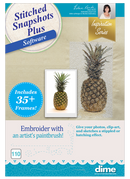 Stitched Snapshots Plus